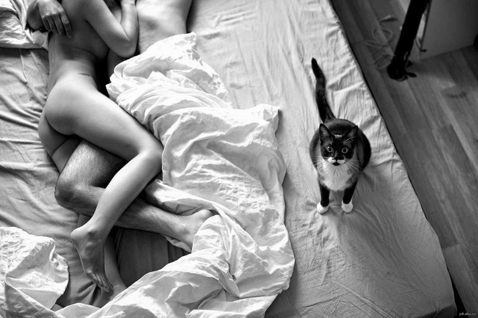 Erotic couple on the bed