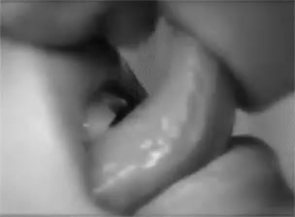 Beautiful cunnilingus close-up