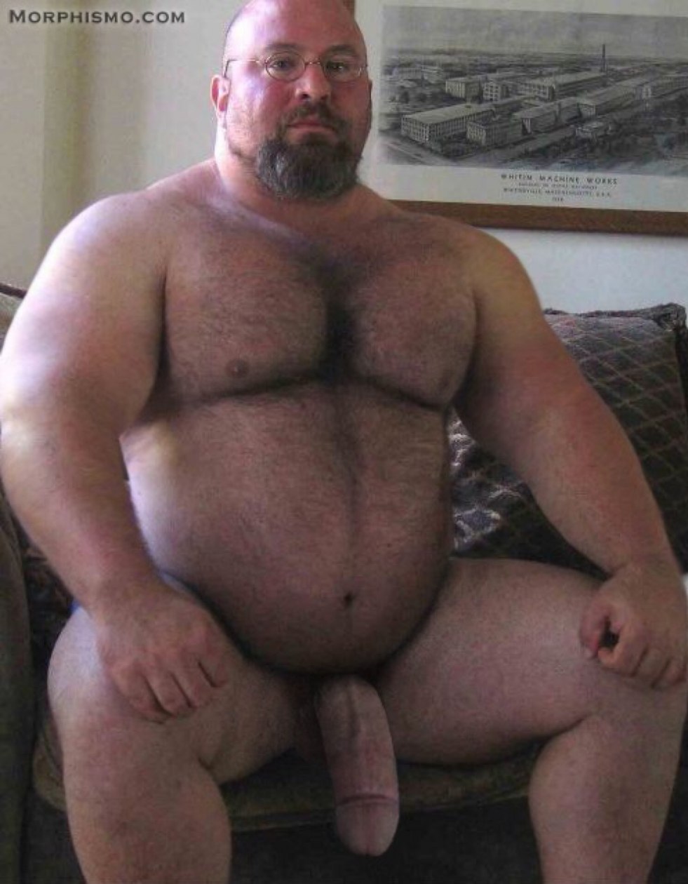 Thick hairy members