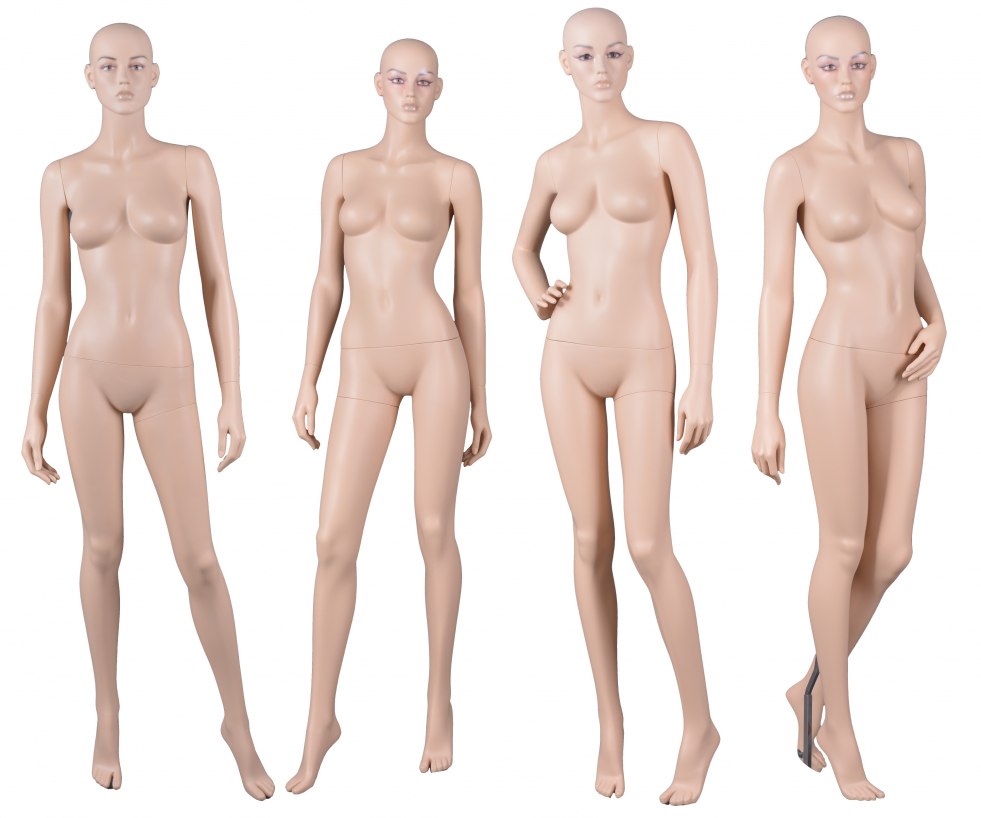 Bang sketches lively