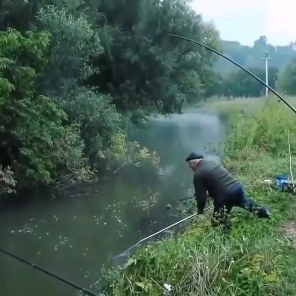 Ripes with short hair