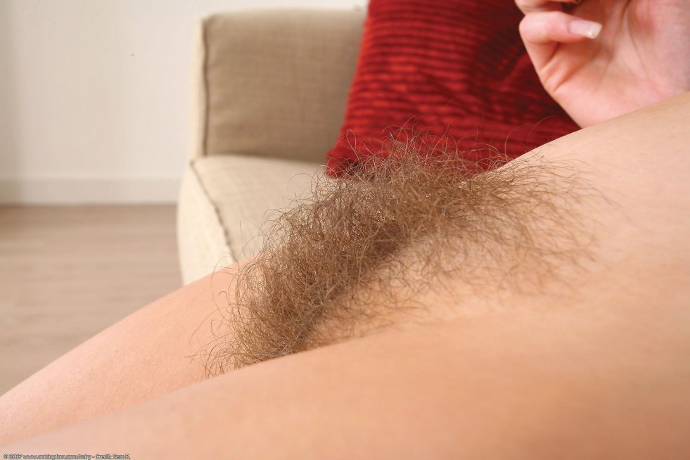Hairy fluffy pubis