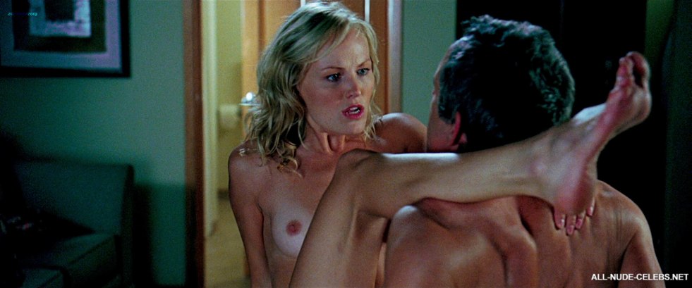 Malin Akerman Nude in the film