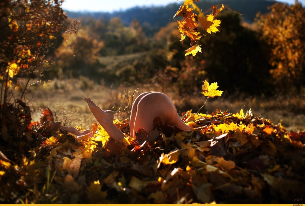 Naked girls in the autumn forest