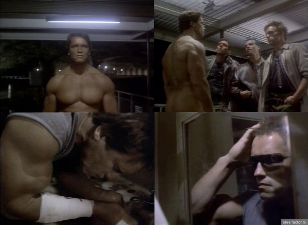 Arnold Schwarzenegger Terminator Naked