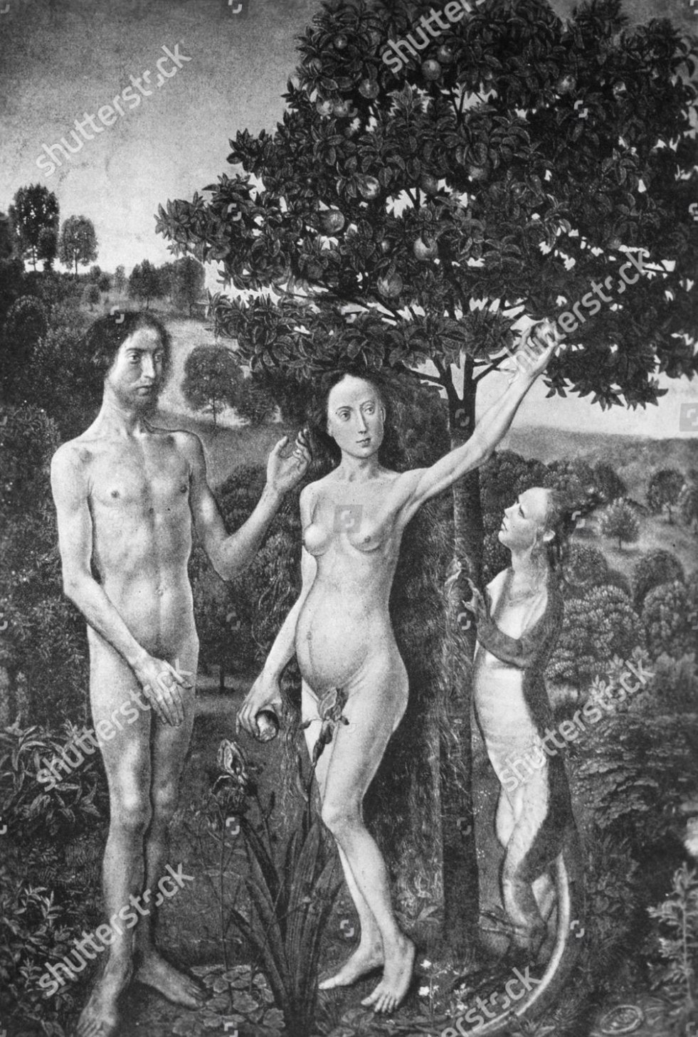 Pornography in Paradise, Adam and Eve