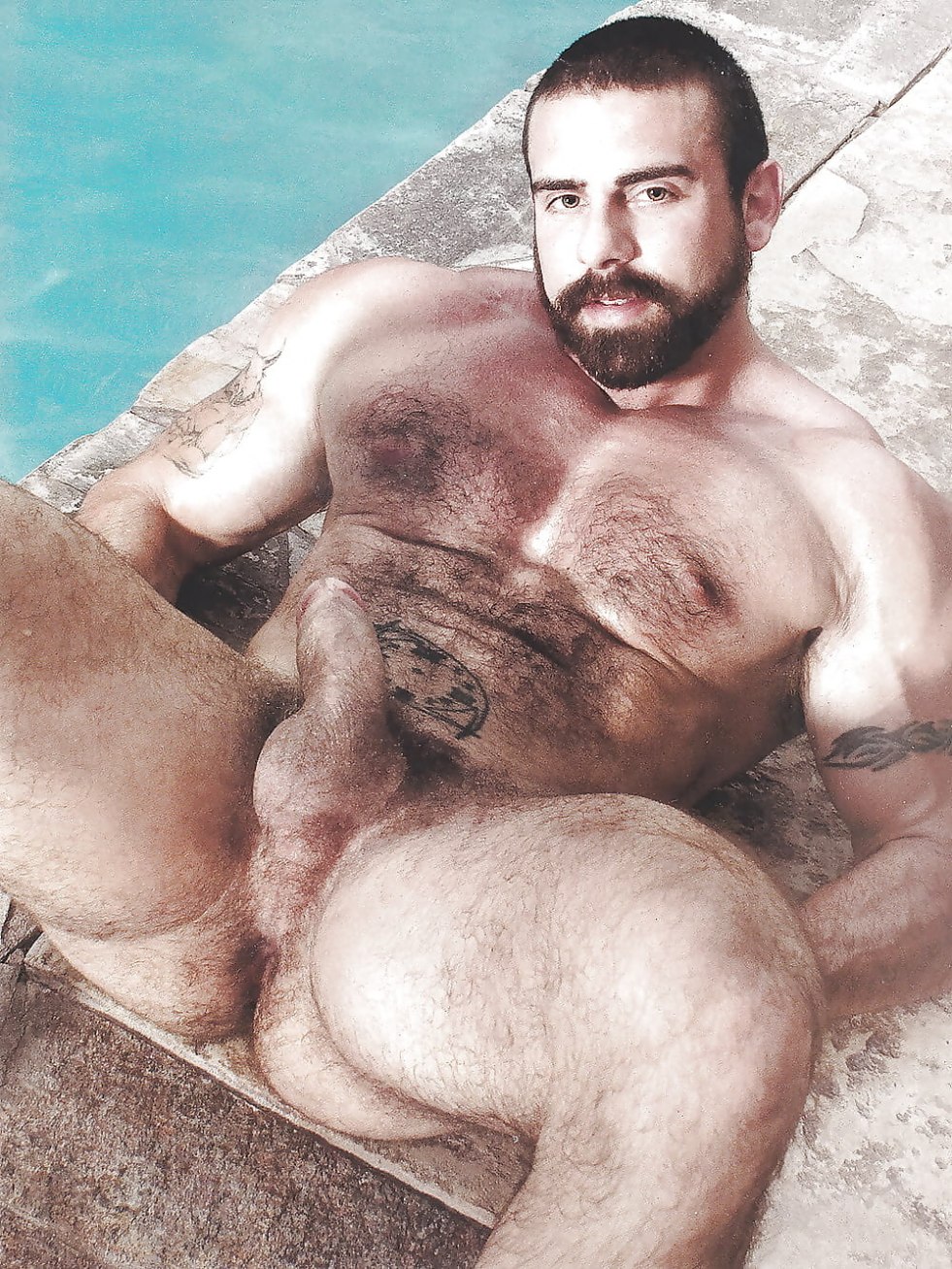 Hairy Arab with a huge member