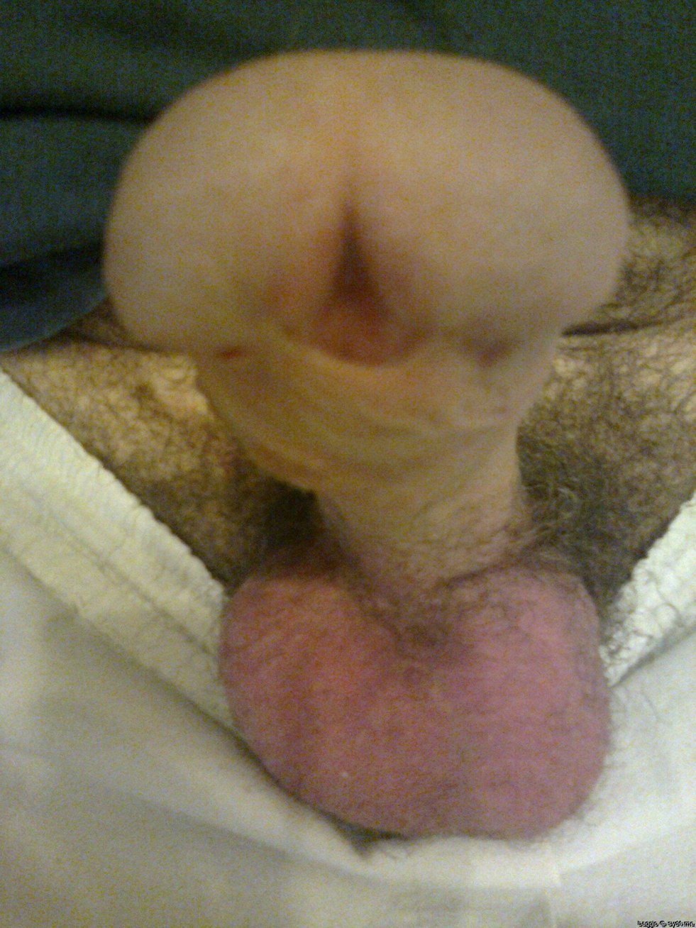 Semi-Poly Organ Men Member