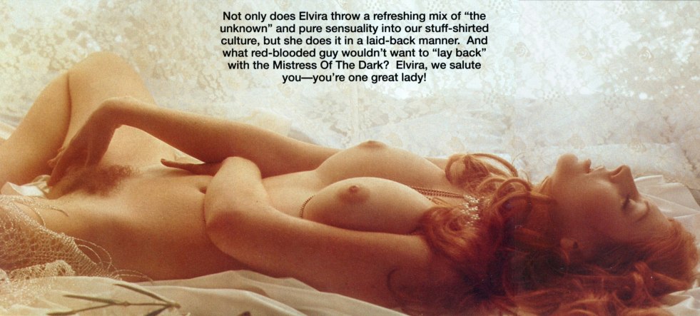 Elvira Lady Darkness Ero