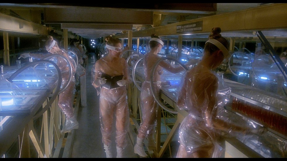 Borean Striculovna Breasts