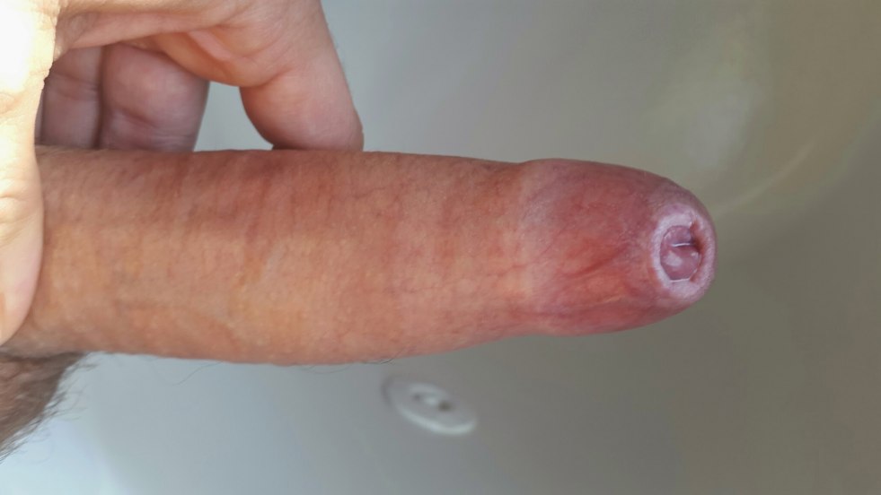 Sex members of insects