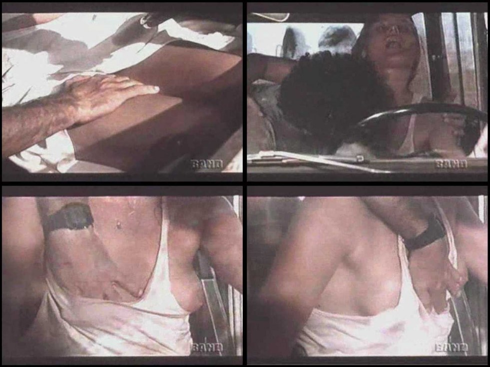 Lilian Renata Marilis Porto Playboy