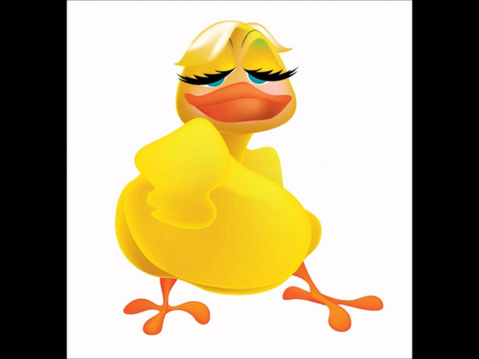 Kristina Nevolin Schmexi Duck Drain