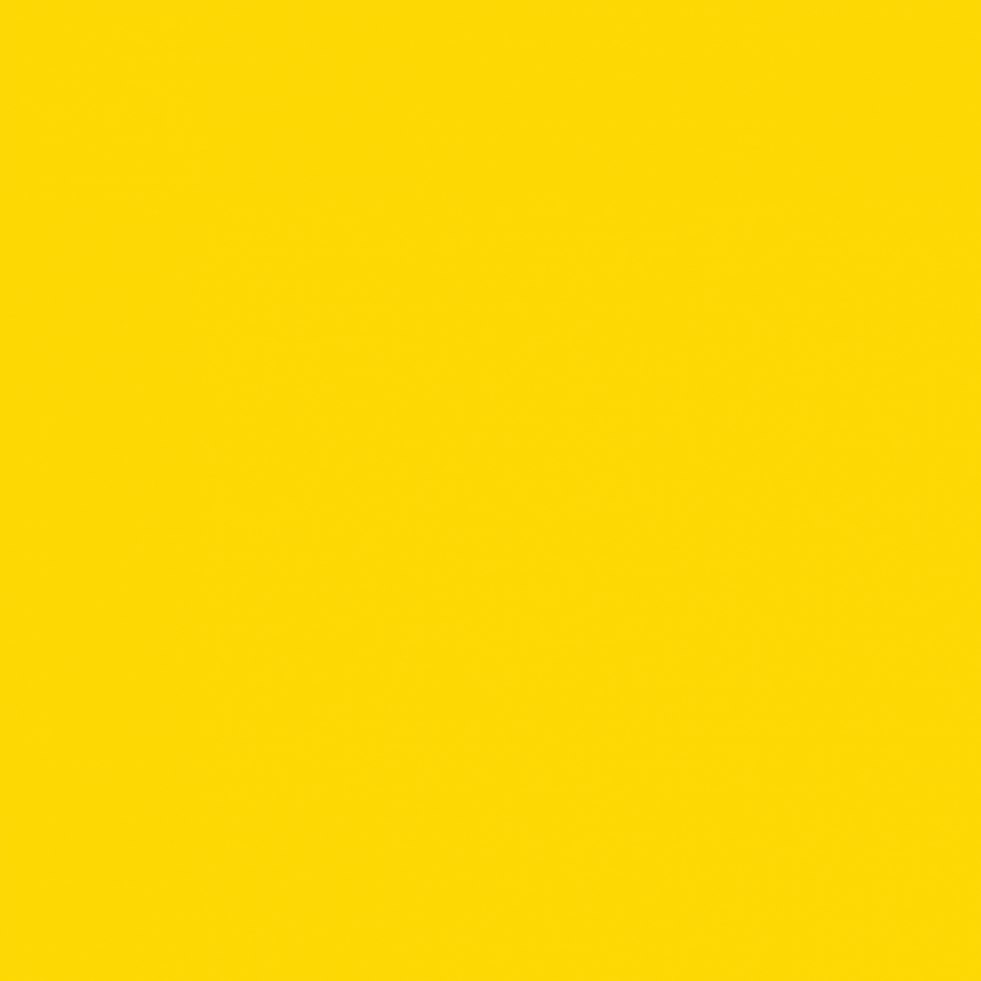 Kireeva Svetlana Nikolaevna