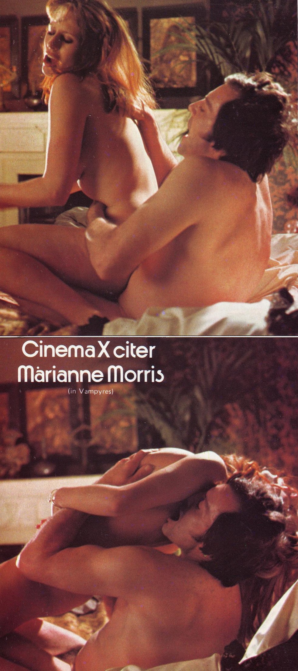 Marilyn Lange (Marilyn Lange) 18+