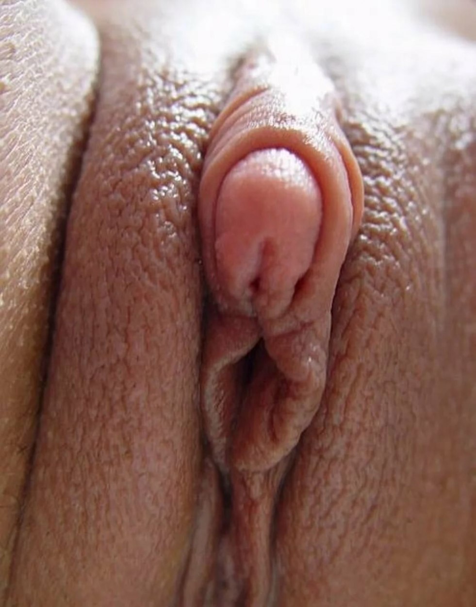 Huge female clitoris