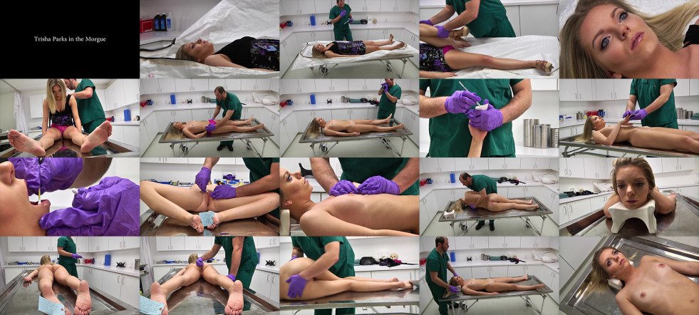 Chlo Vegas pornAktris