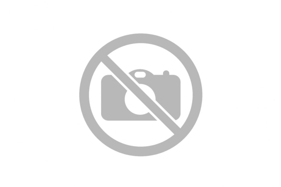 Hayden Pantiery Naked