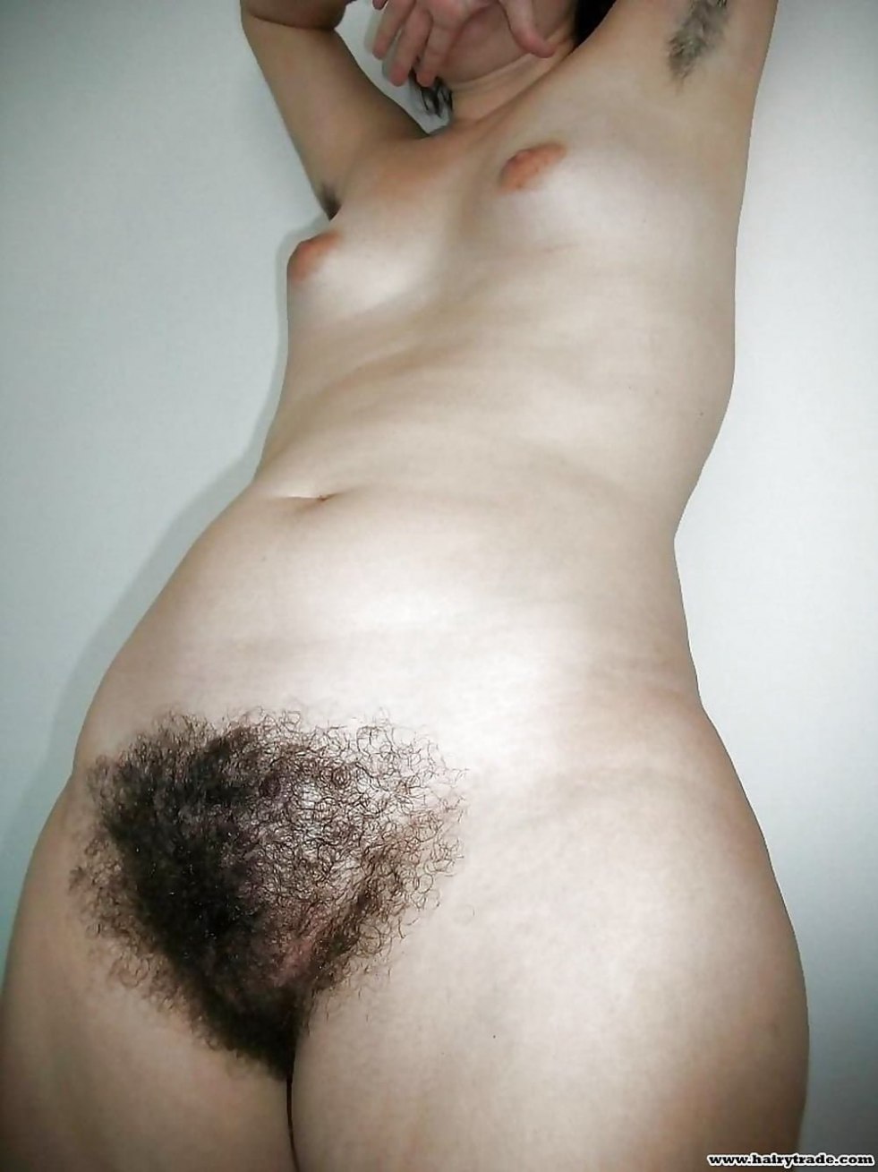 Very hairy female pubis