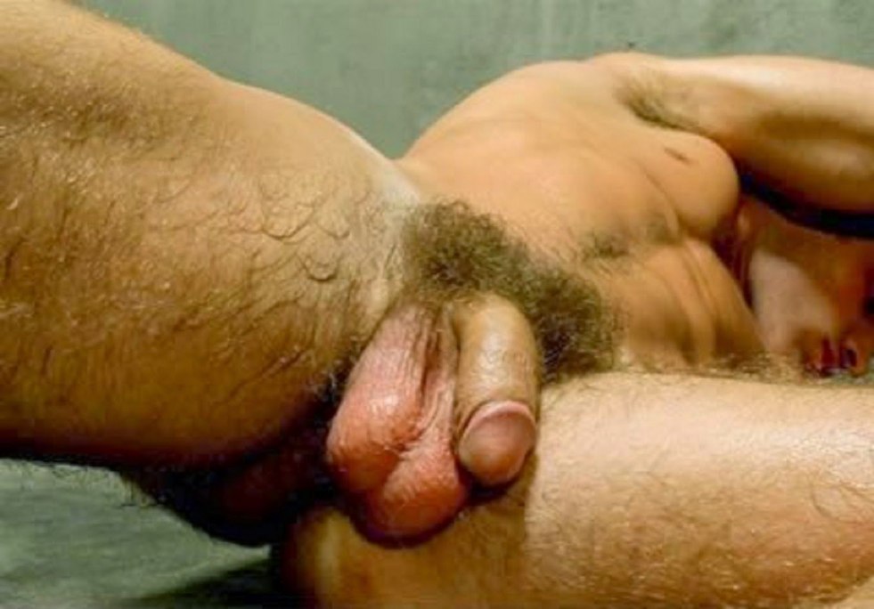 Male penis hairy