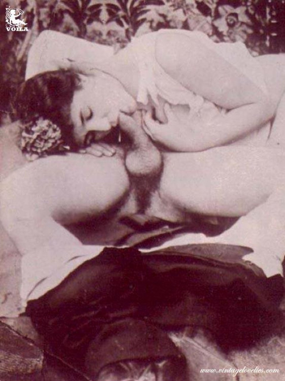 Pornographic images of the 20th century
