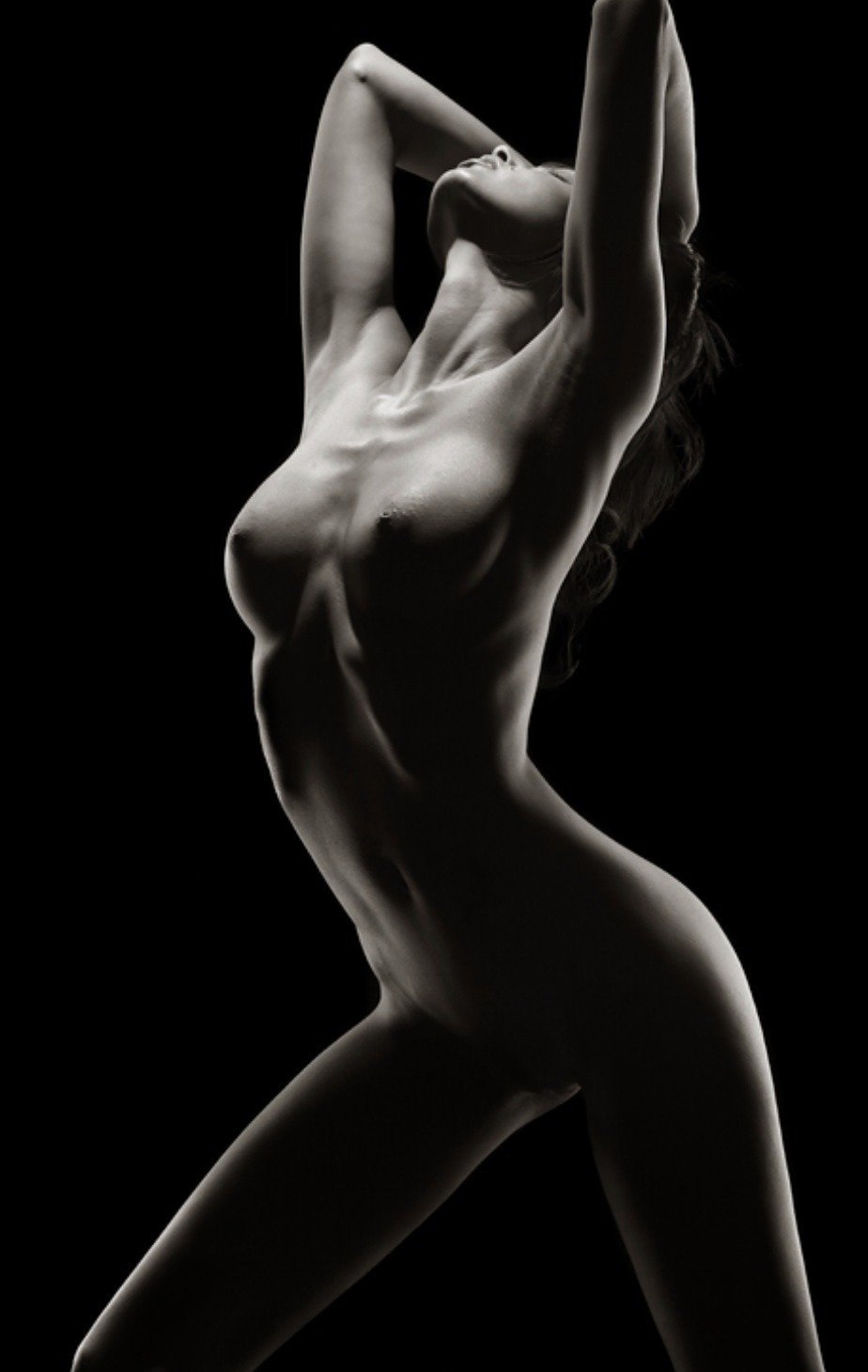 Beauty of the female body nude