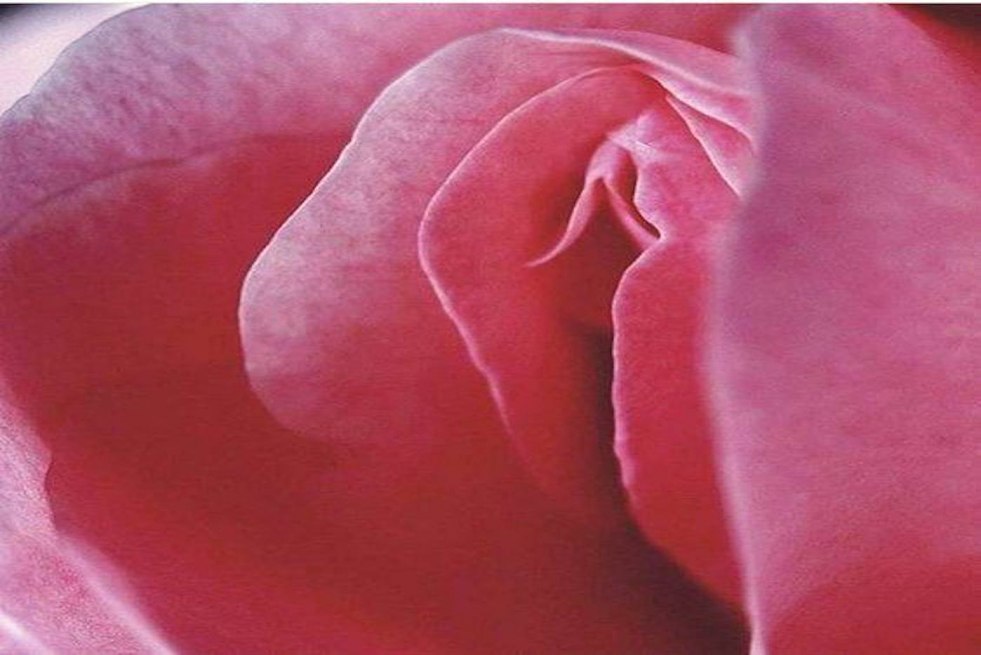 Girls in tight panties