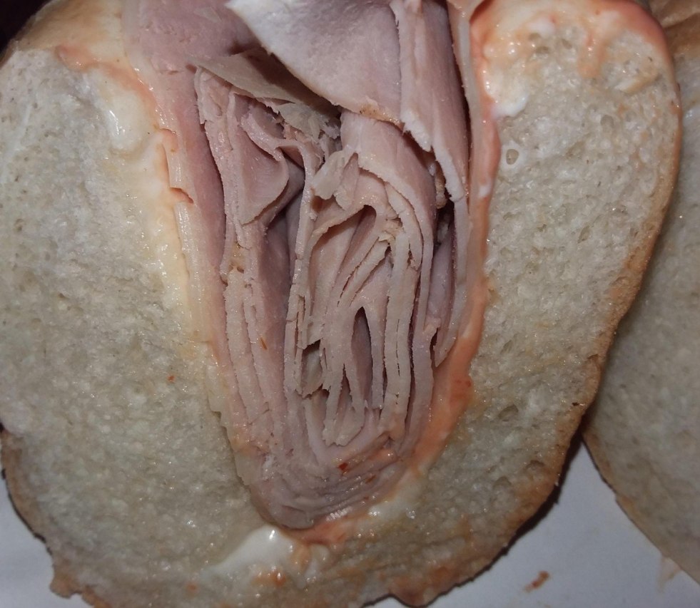 Woman vagina from within