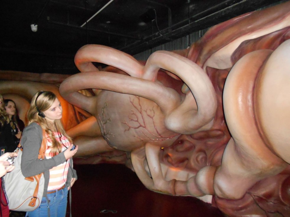 Britney Spears camel Kopytz