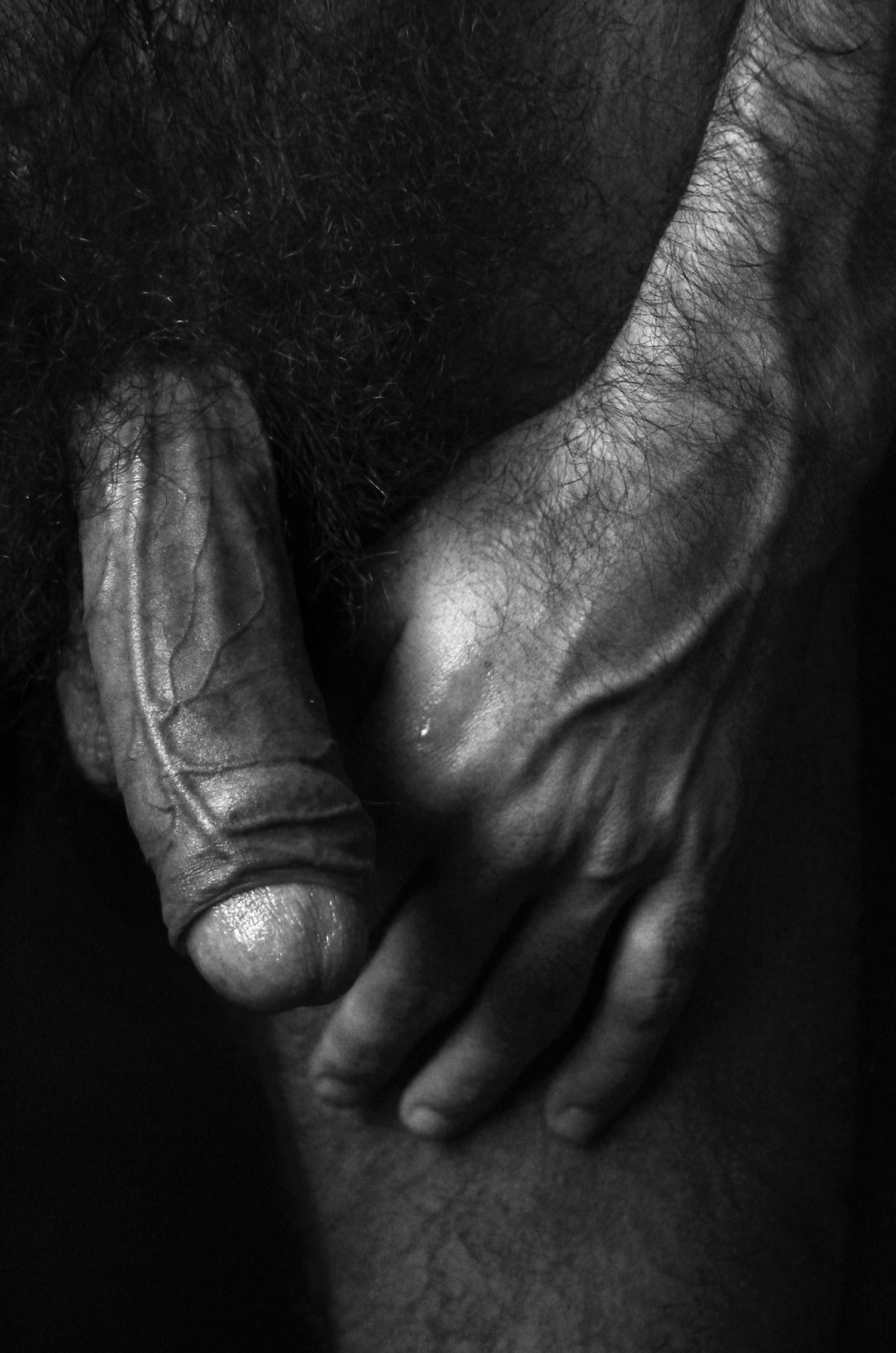 Erotic member in female hand