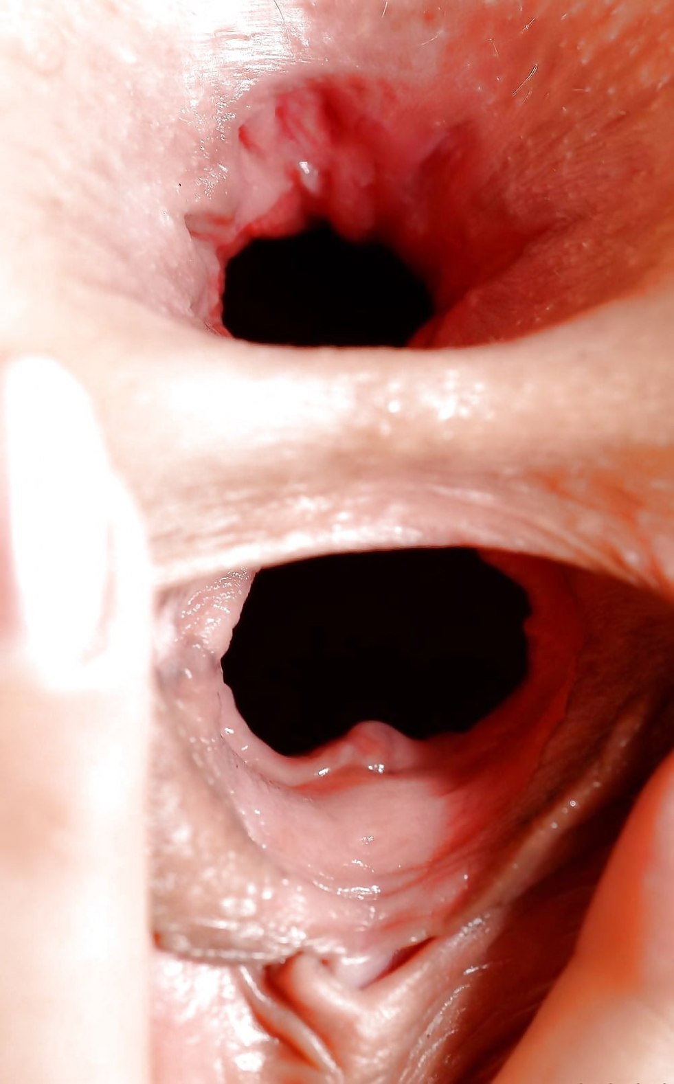 Inside the vagina close-up