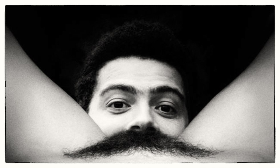 Funny hairstyles on the pubic