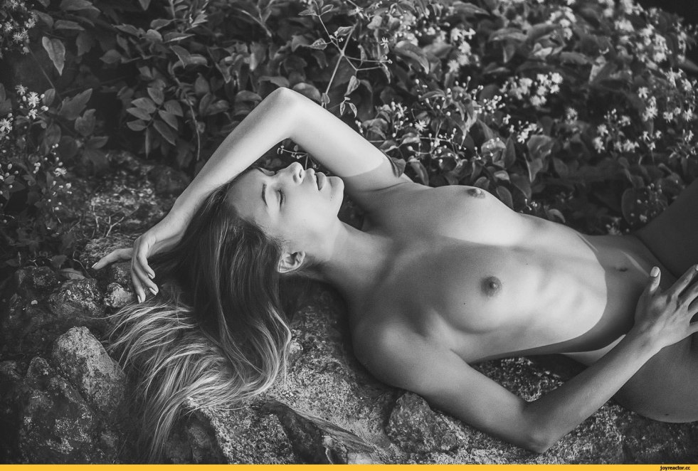 Arkady photographer Kurt nude-Art