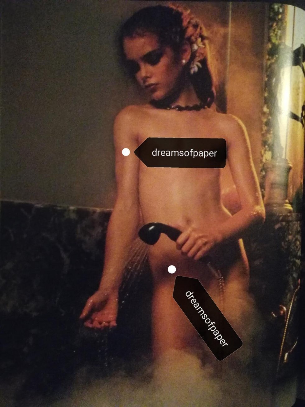Brooke Shields naked Harry Gross 1975