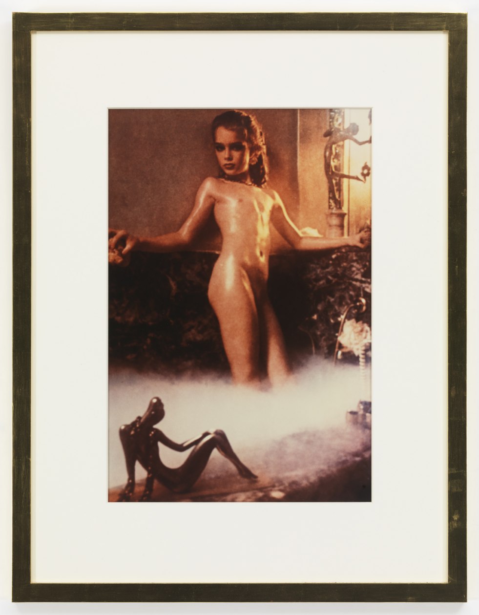 Brooke Shields photo shoot Harry Gross 1975