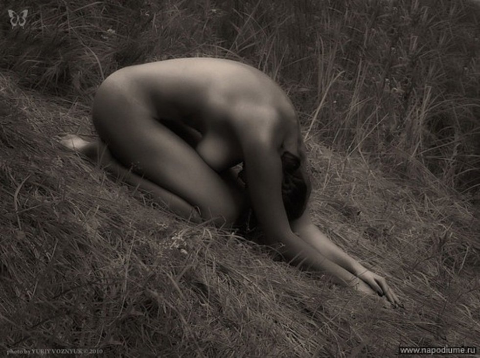 Vlad Hansovsky 2012 Ero