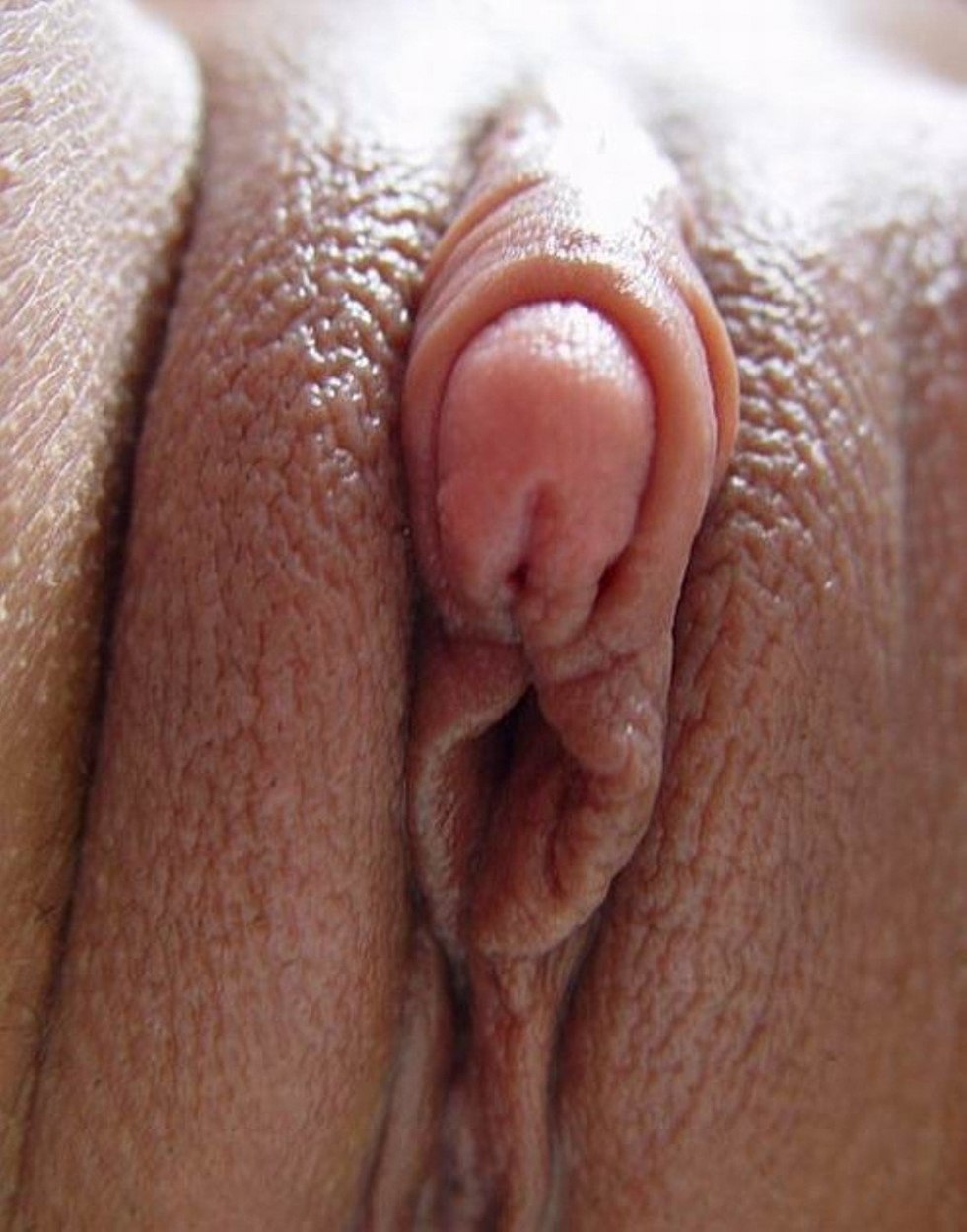 Beautiful female clitoris