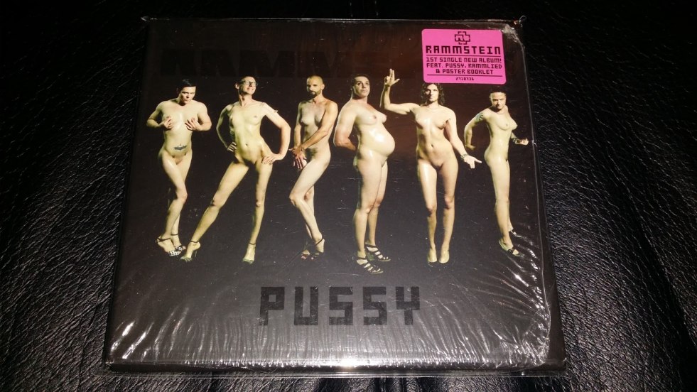 Fucking at a rock concert stage