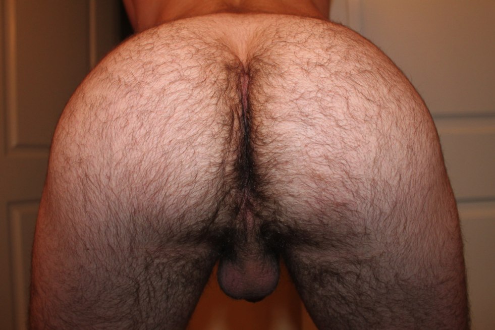 Hairy ass guys