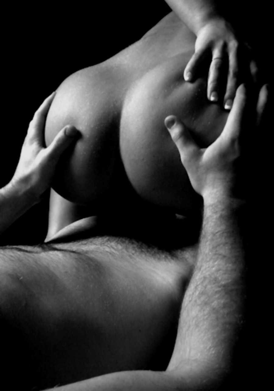 Passionate handsome minet