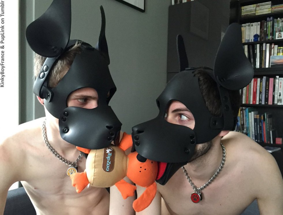 Guys in dog masks BDSM