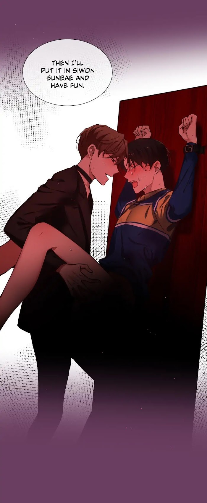 Love is just an illusion sister to jin