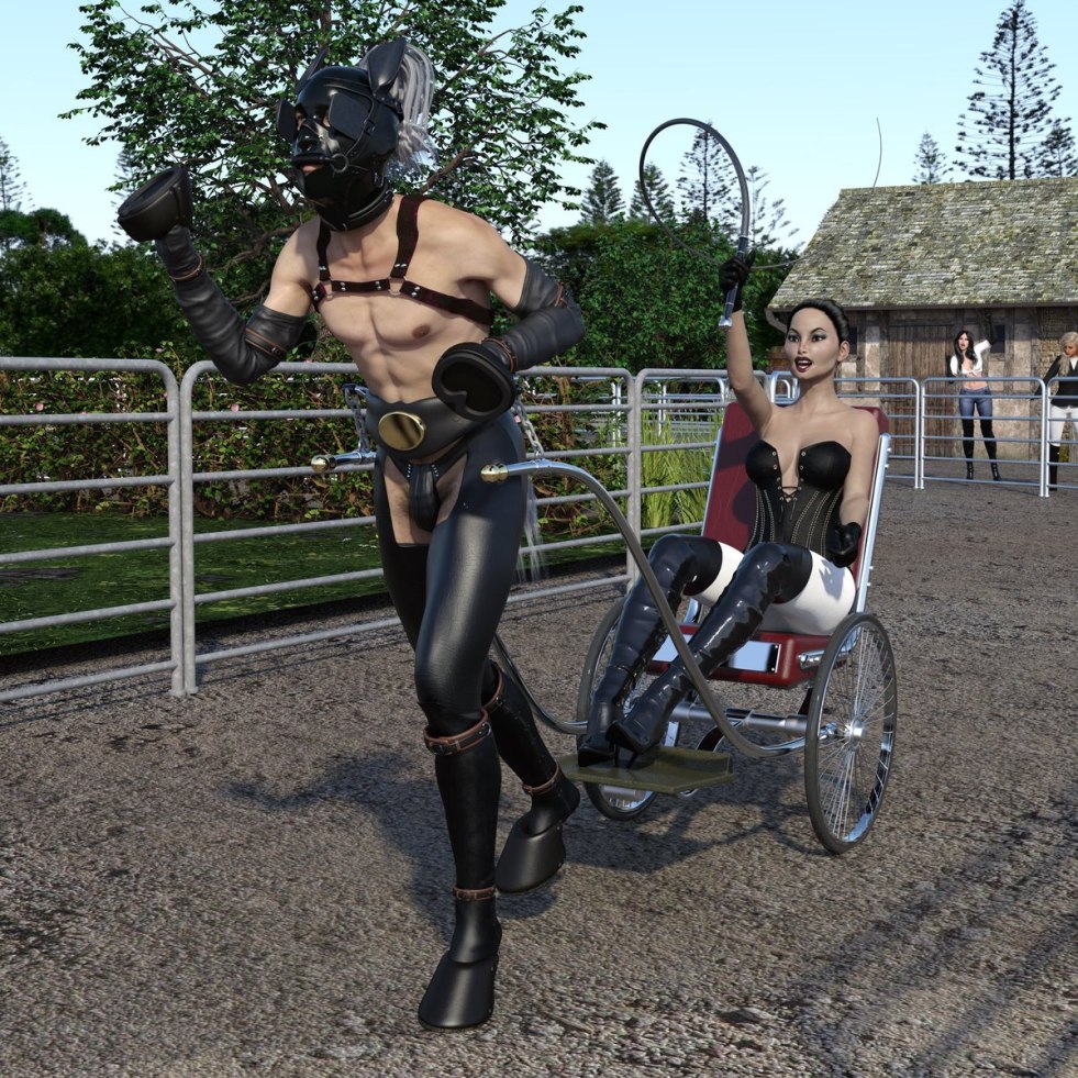 BDSM attributes for pony