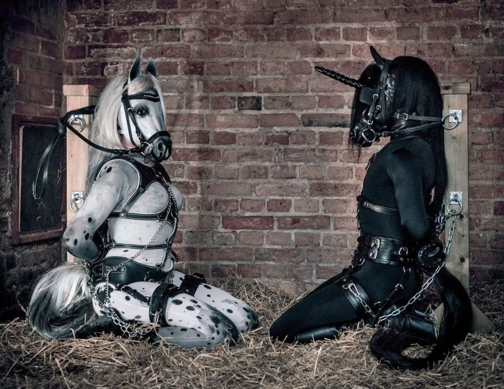 Slave horses