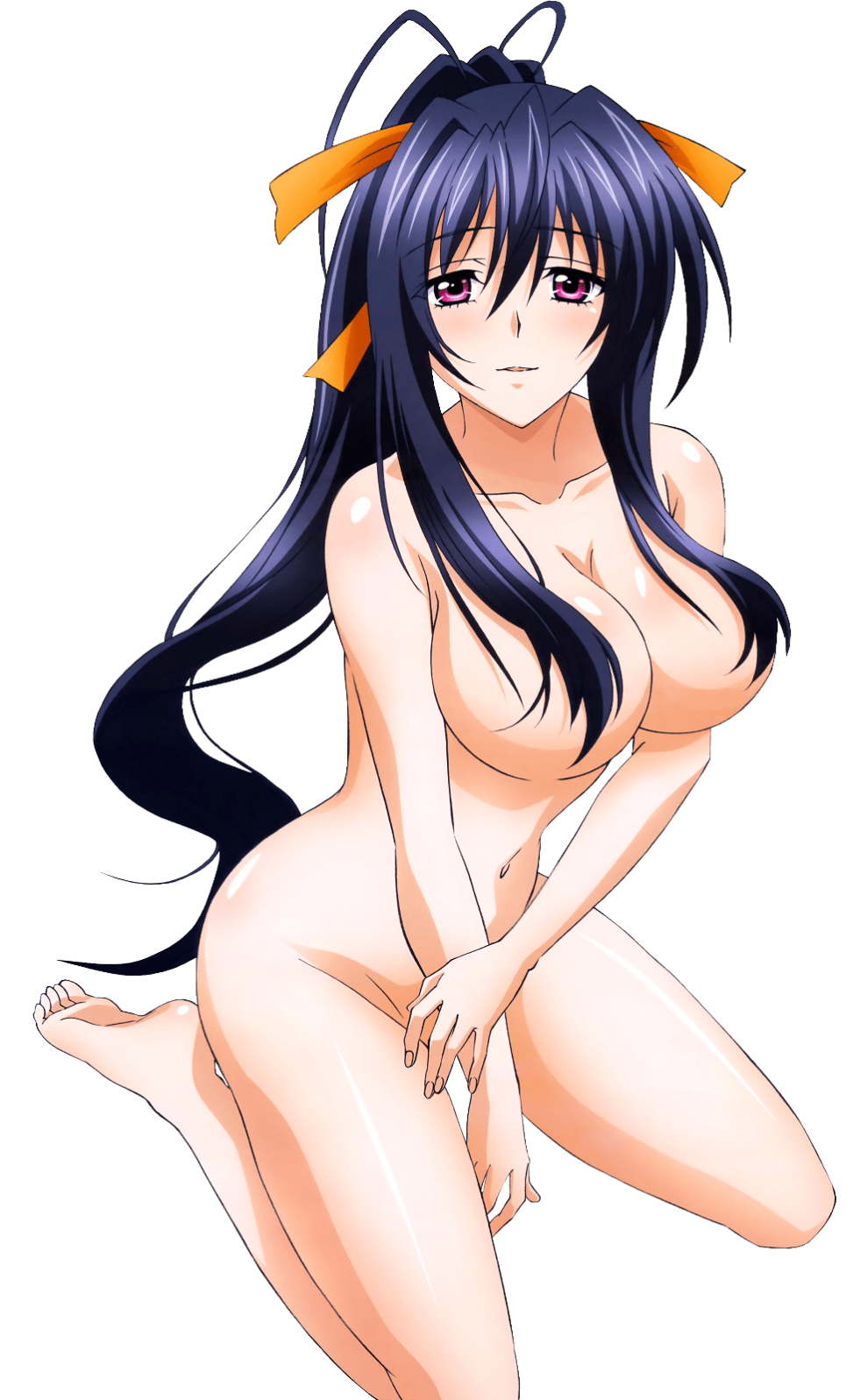 Akeno Himedzima Hentai