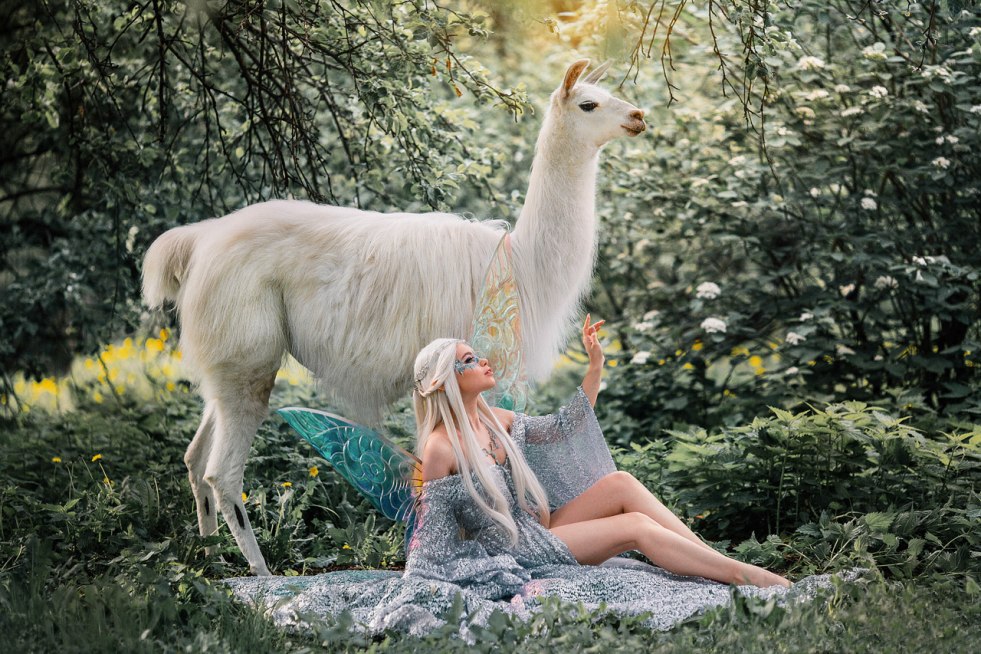 Leah Francis with a big bust