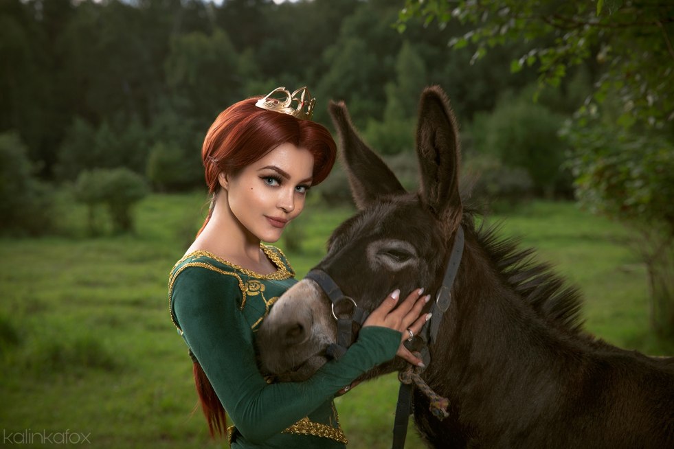 Princess Fiona Ogr Rule34