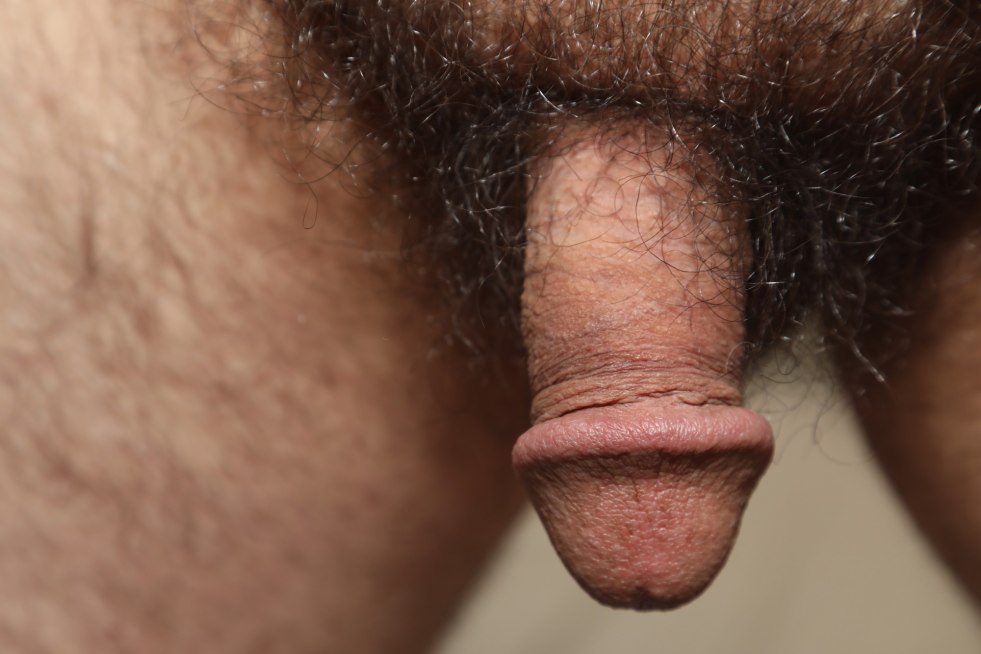 Hairy men with huge members
