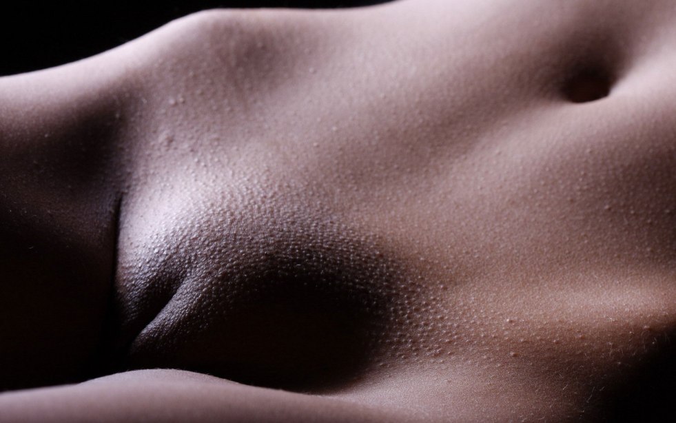 Beautiful female pubis large