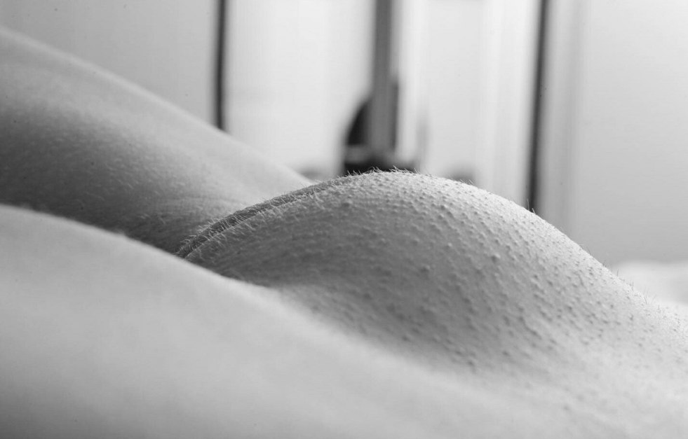 The most beautiful female pubis